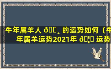 牛年属羊人 🌸 的运势如何（牛年属羊运势2021年 🦈 运势12生肖）